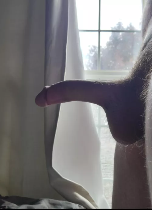 do you want this cut cock?