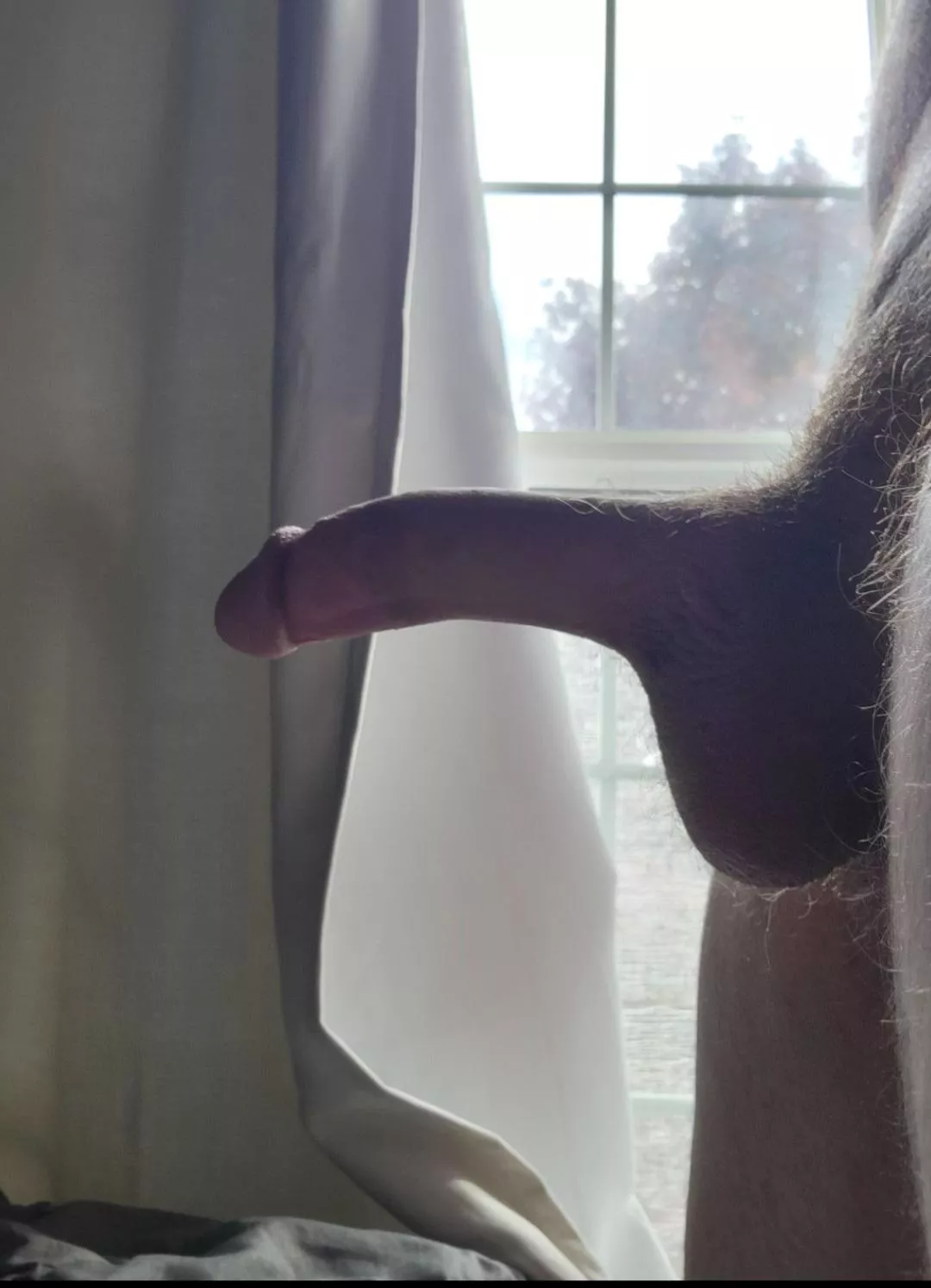 do you want this cut cock?