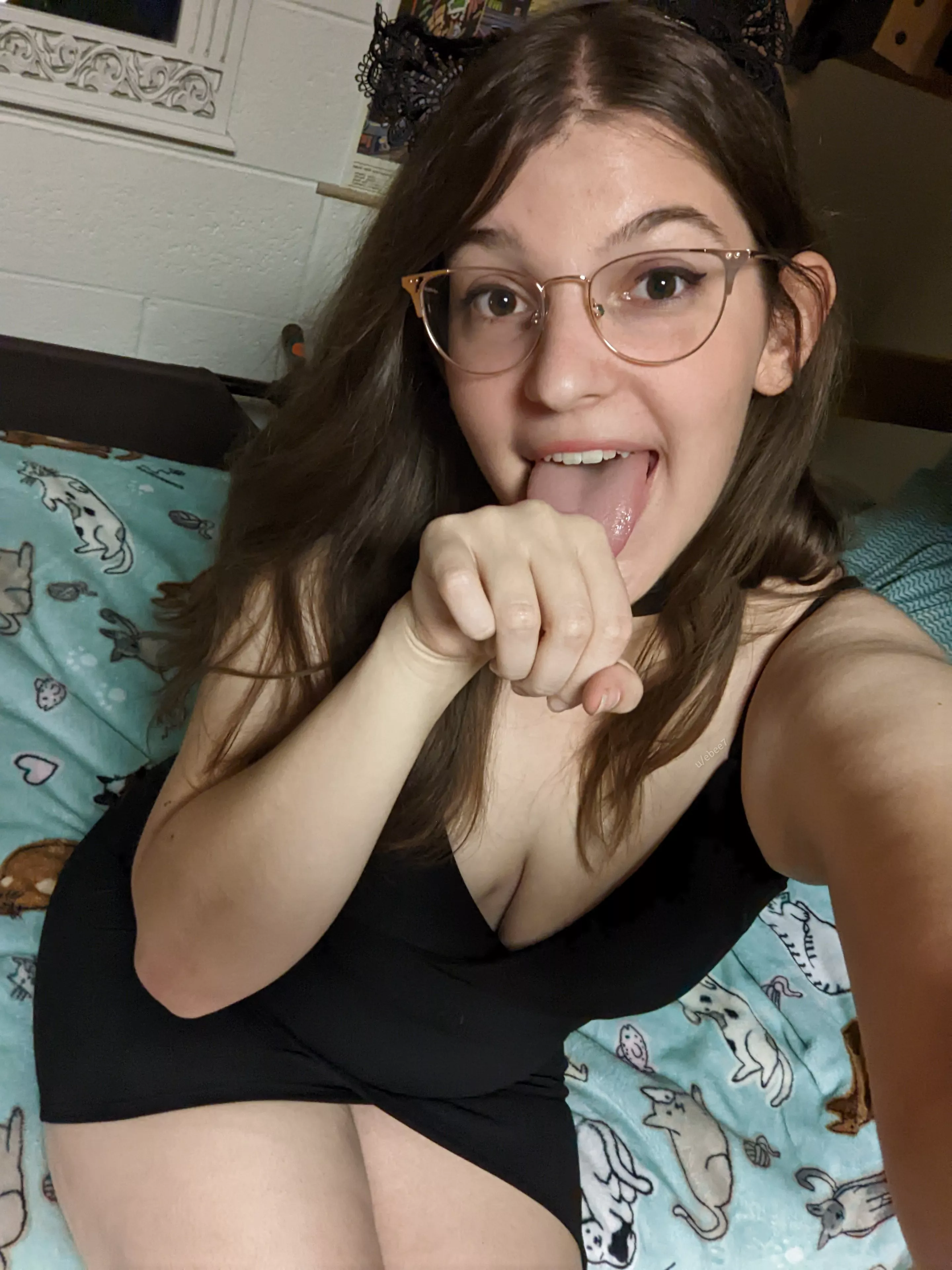Feline playful [18F]