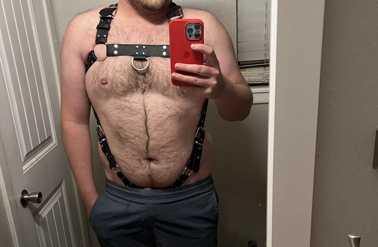First harness