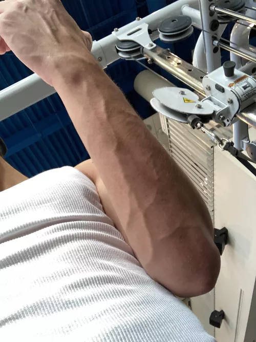 Good afternoon Queens. Have a blessed day 💋💋