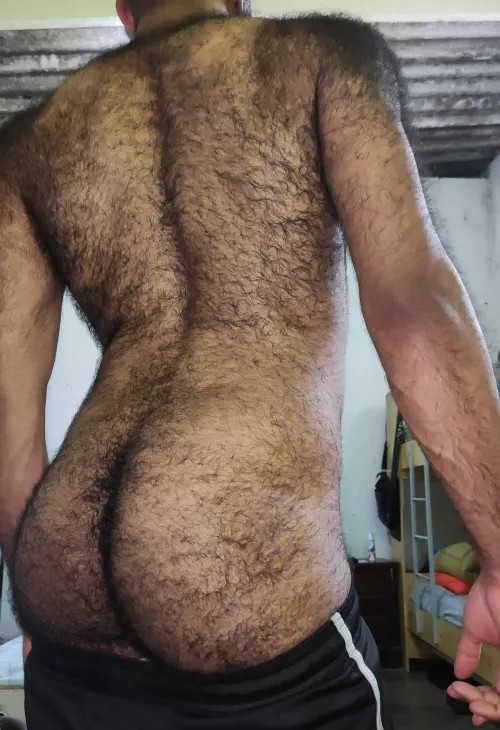 Hairy back + hairy butt