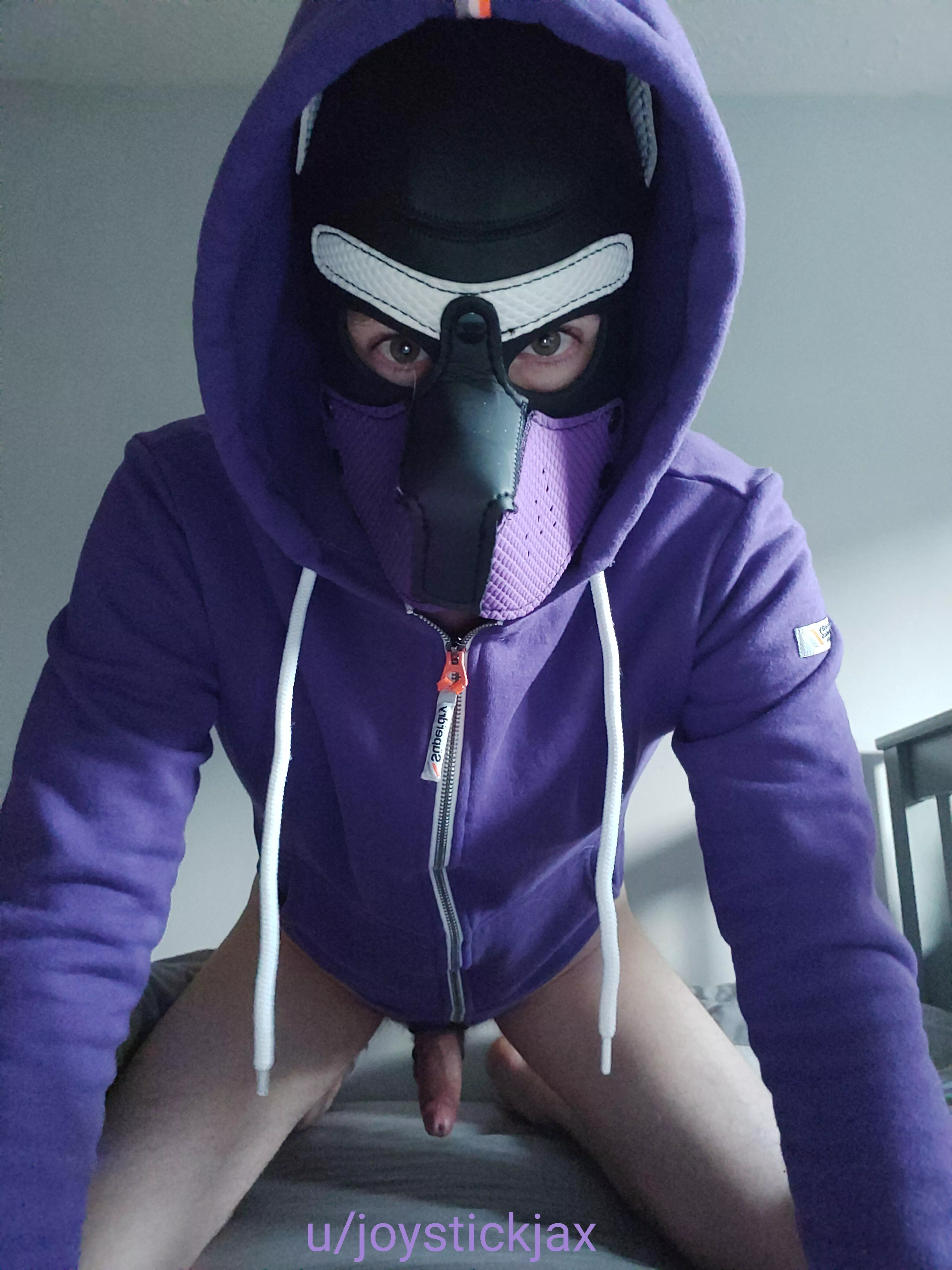 Horny pup for Halloween arroo 🐾🐾