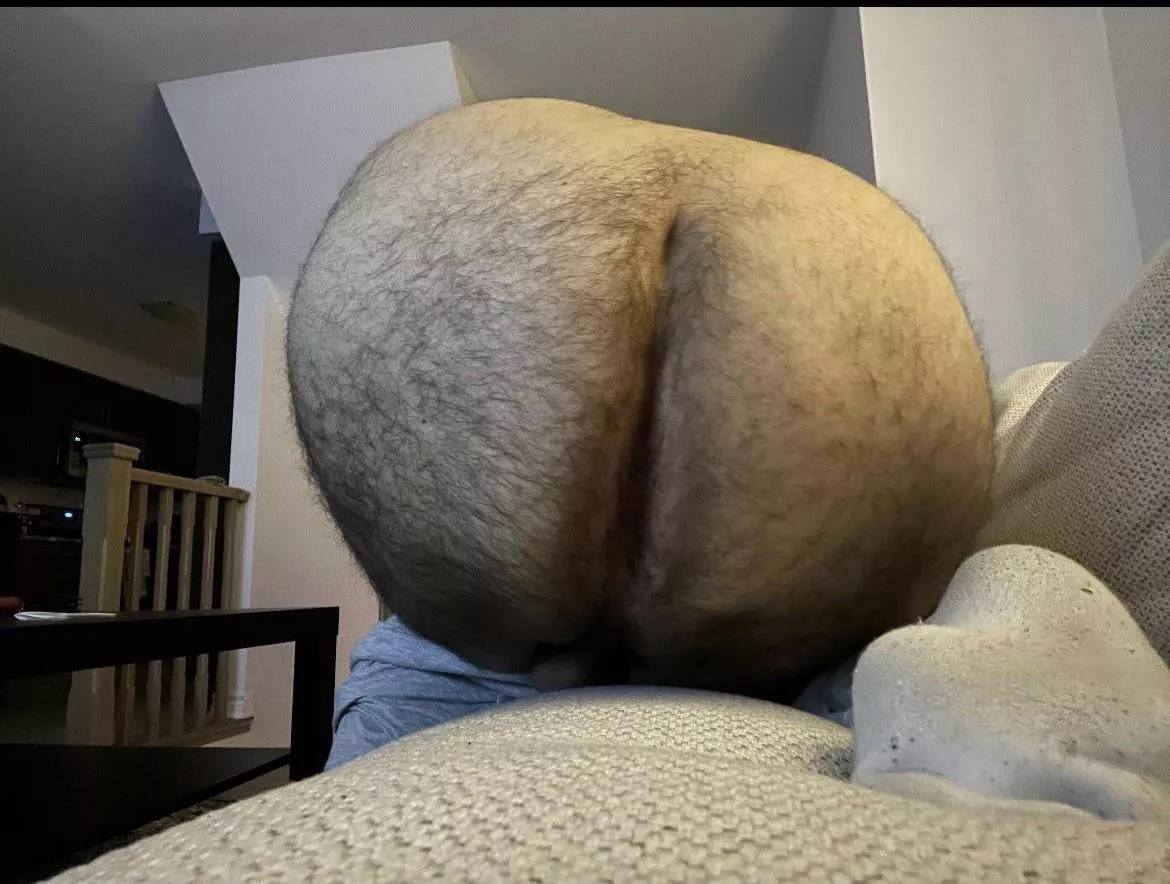 I feel like my ass belongs here