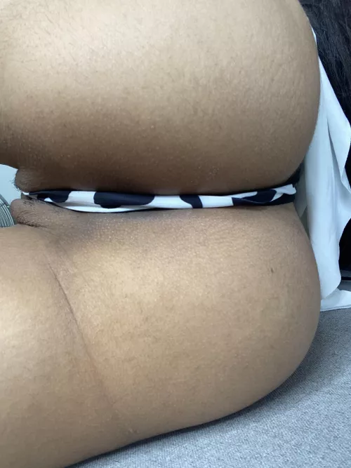 I have the best pussy and asshole