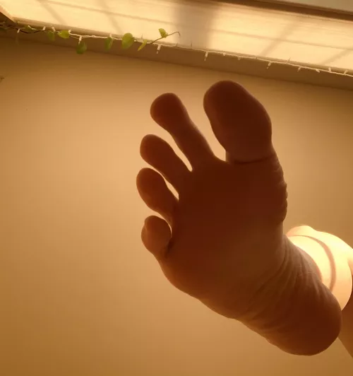 Let me step on your face, foot boy