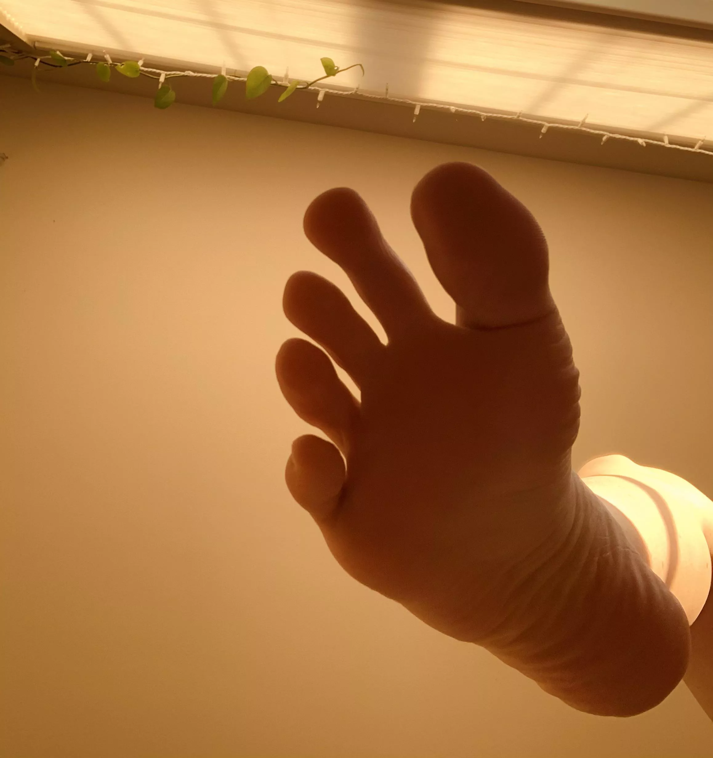 Let me step on your face, foot boy