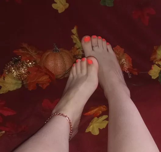 let's watch a scary movie while you suck my toes