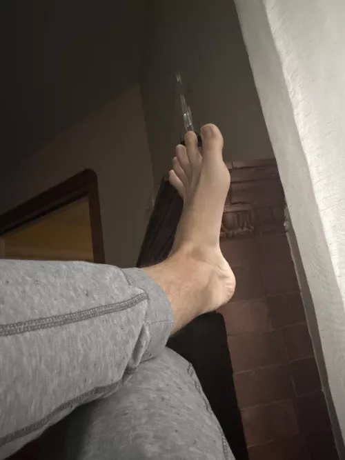 Letting the dogs out