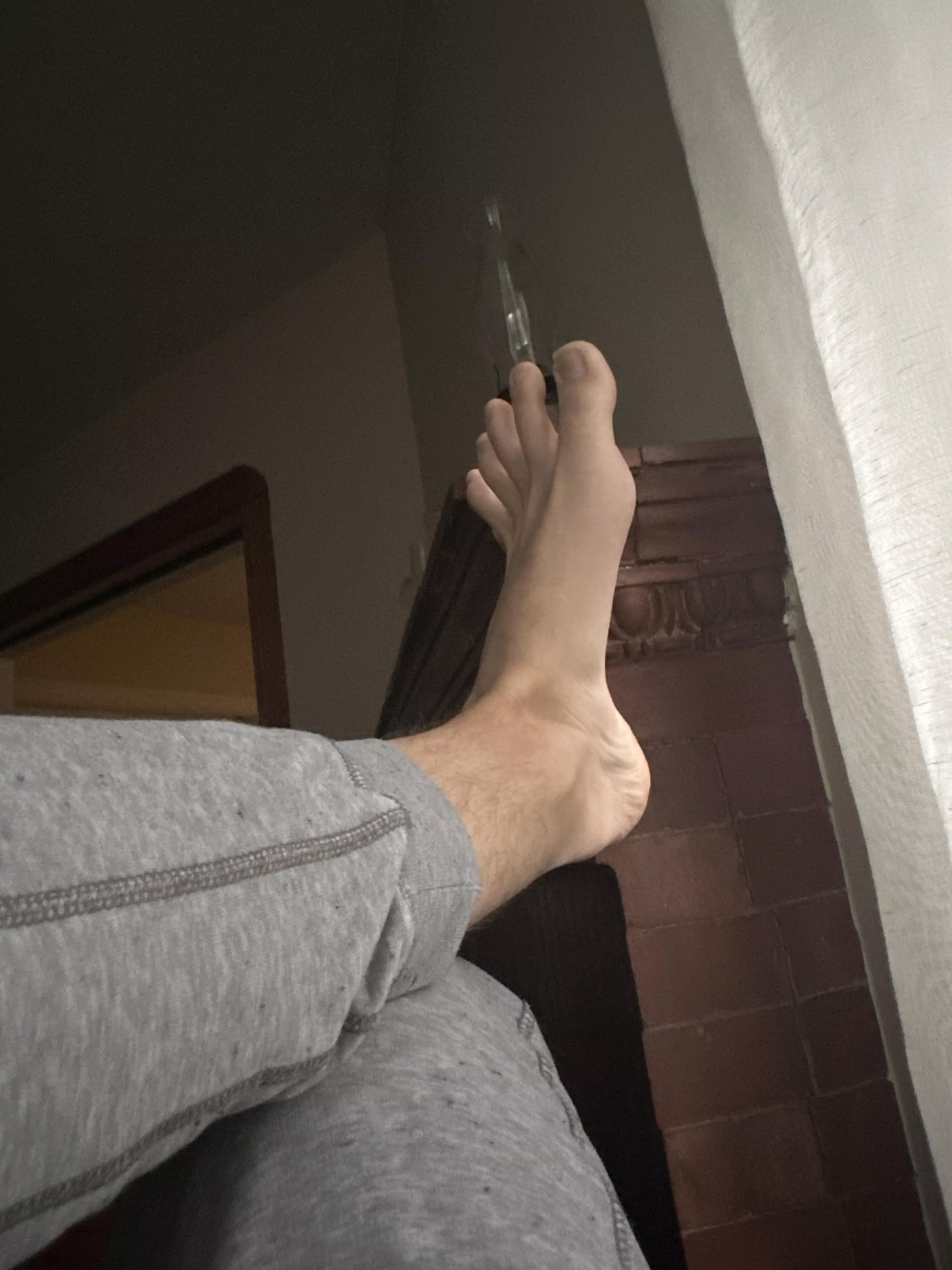 Letting the dogs out