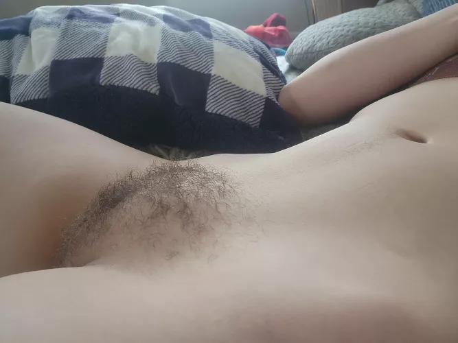 Loving the progress of my bush growing in. Isn't it beautiful?