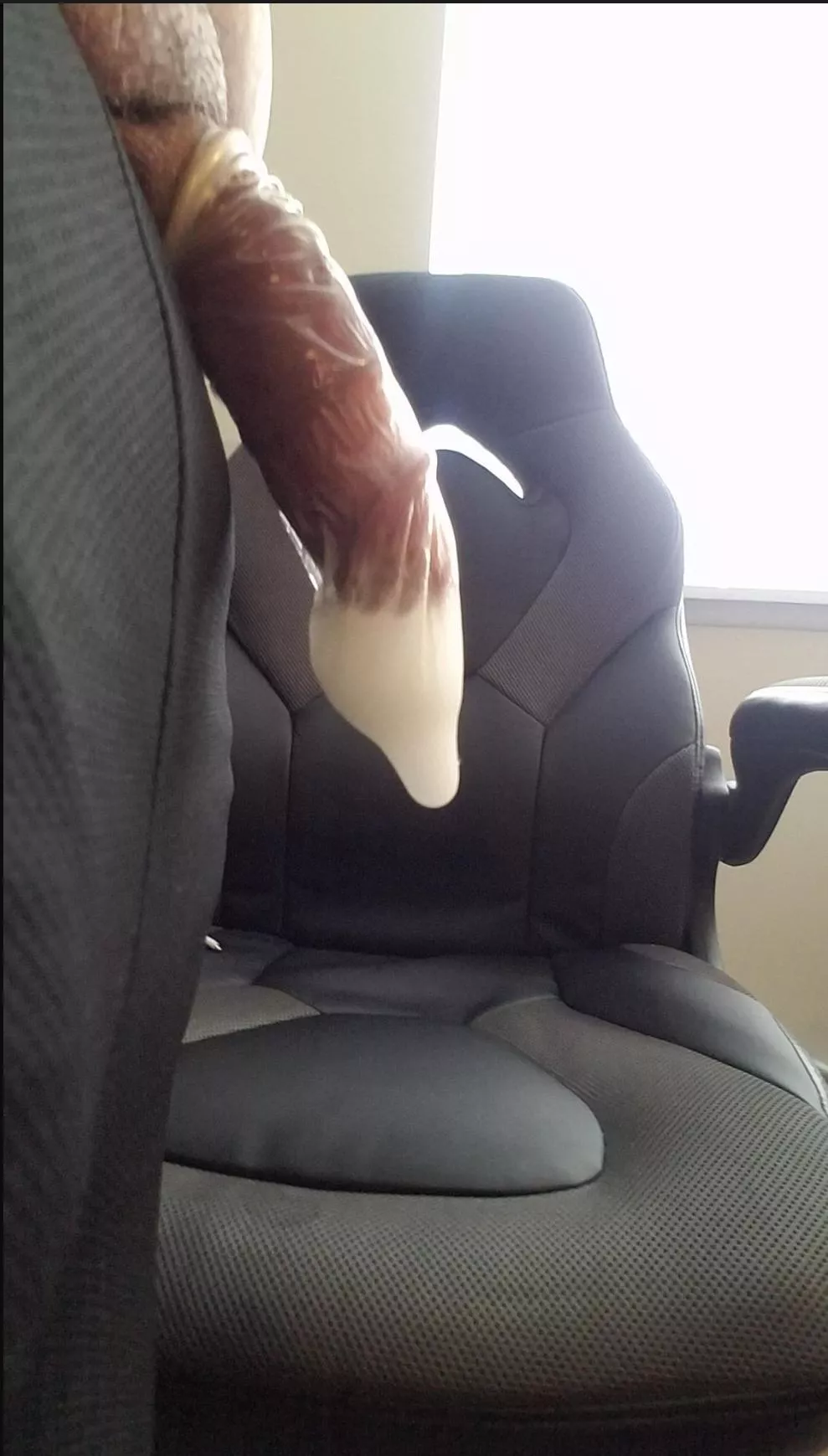 Mind If I Brag About My Husband's Monster Load Real Quick??