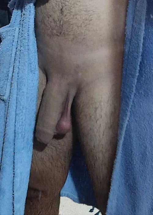 my soft horsecock