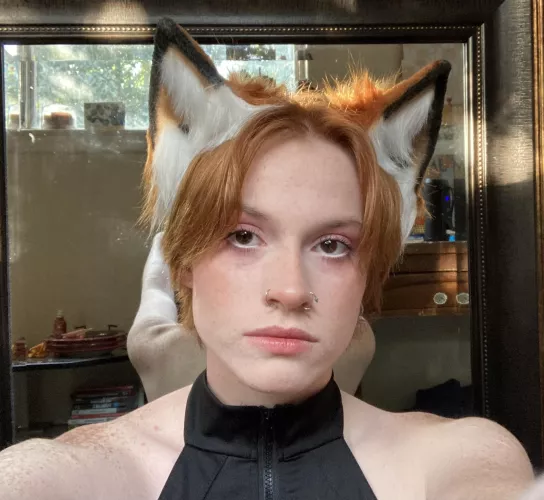 🧑🏻‍🦰🦊pt.2