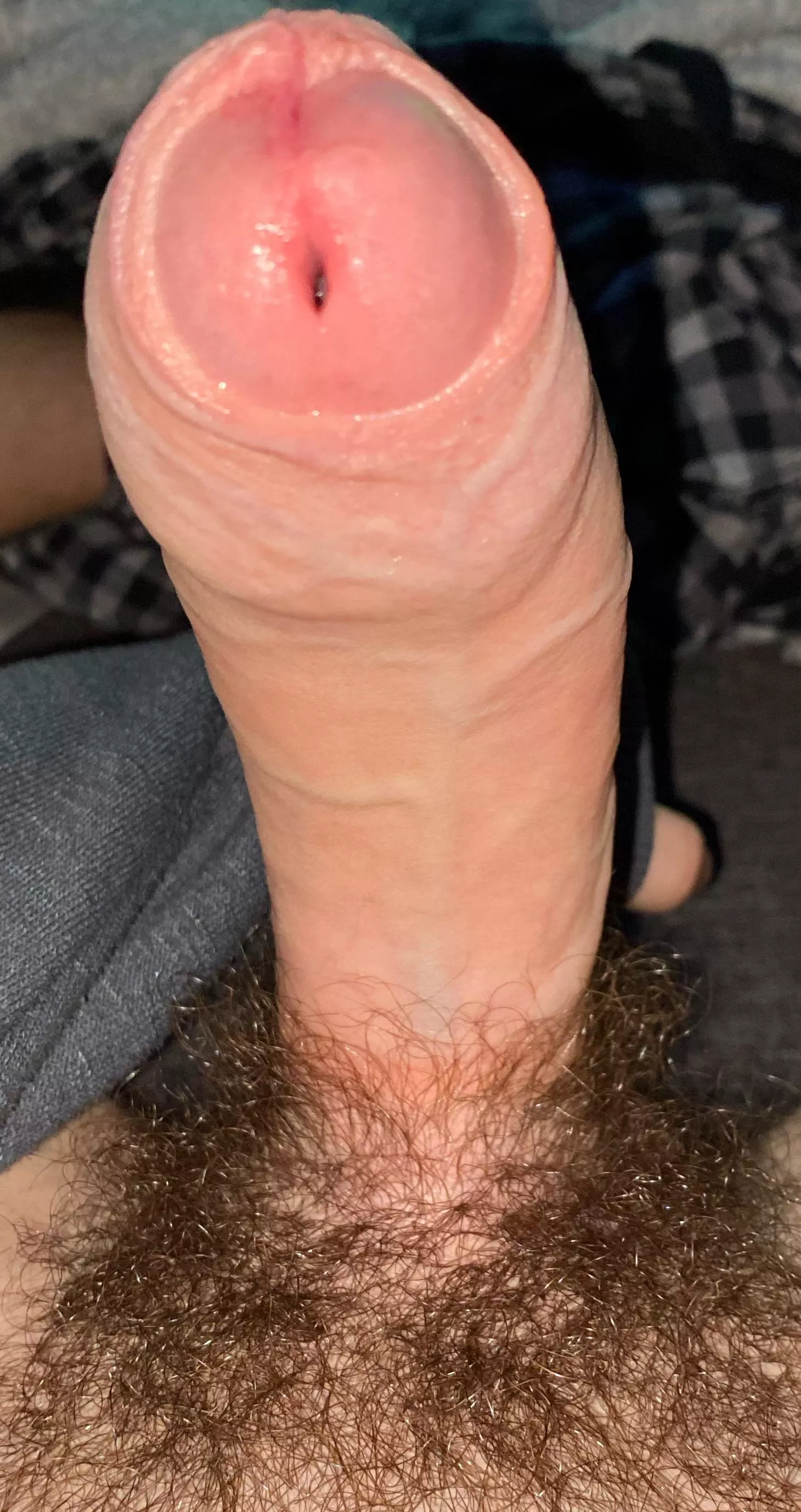 Should I trim , HMU if i should