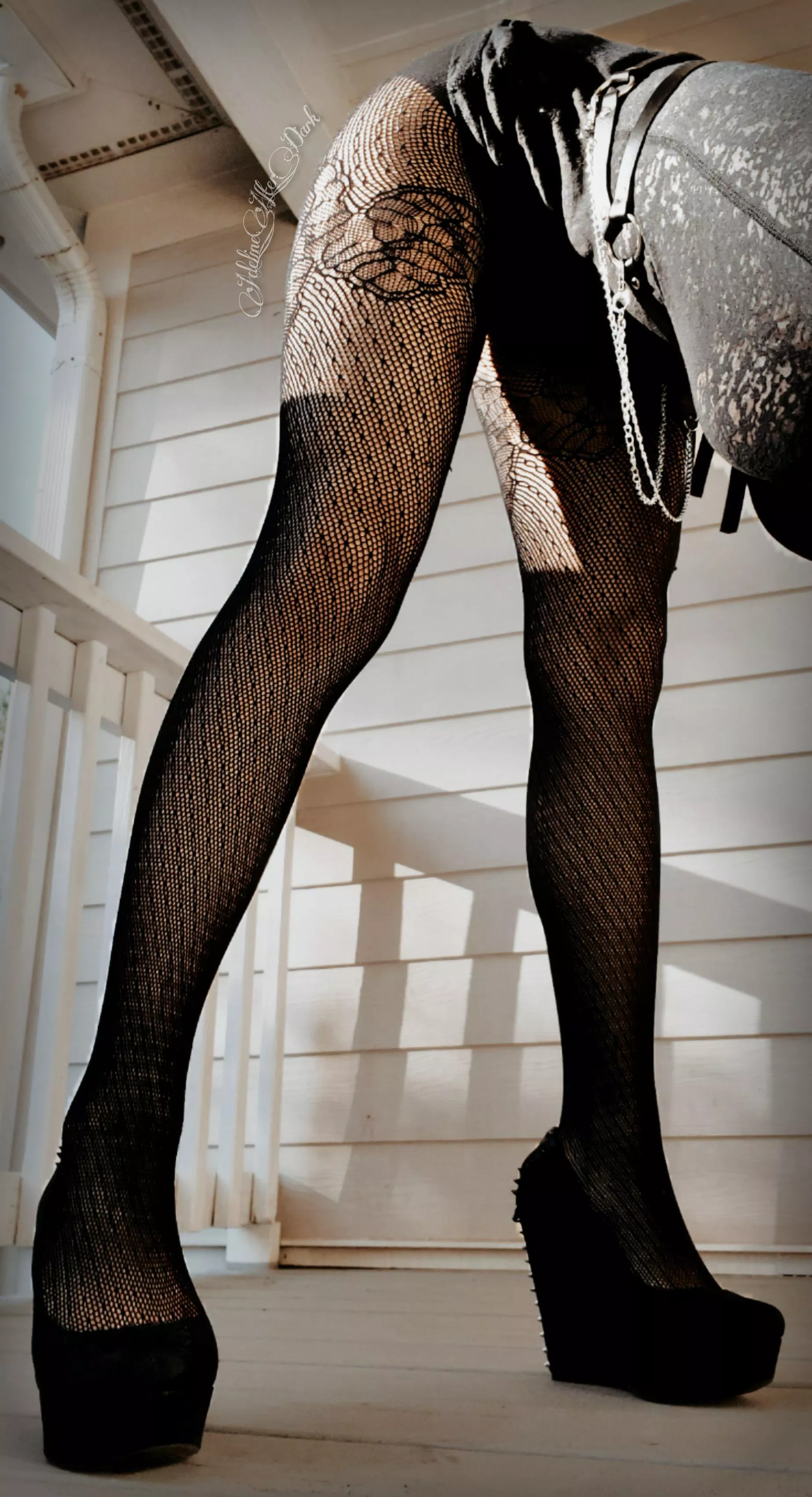 Super fancy lace tights