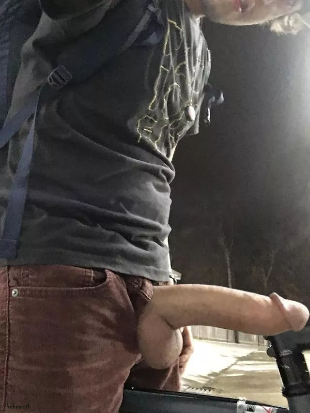 Take your dick out while riding your bike because why not