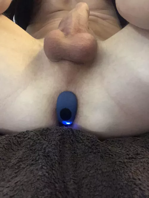 This vibrating plug is making me so horny