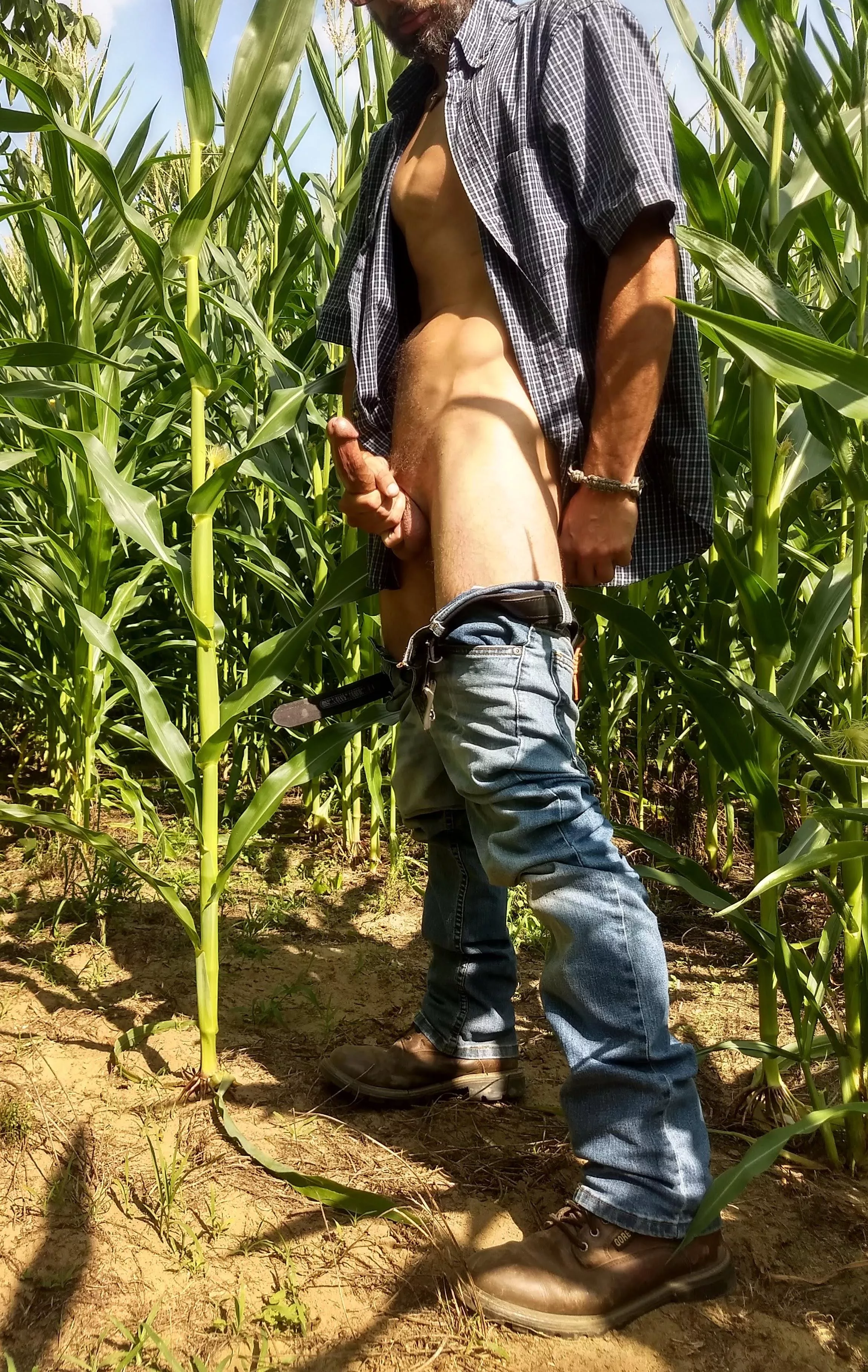 wanna get lost in the corn?