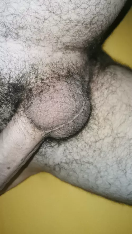 what do u think about my balls?