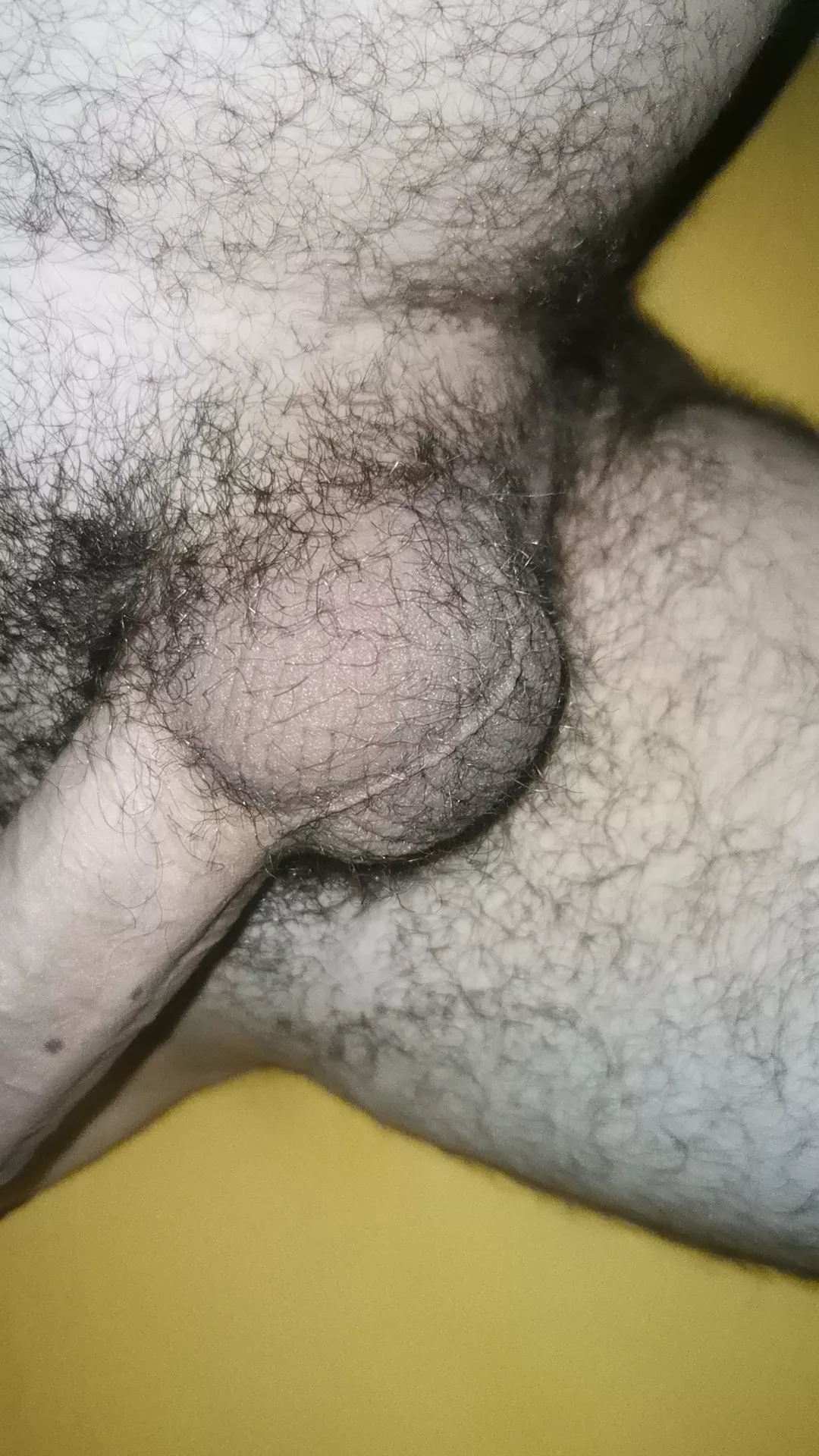 what do u think about my balls?