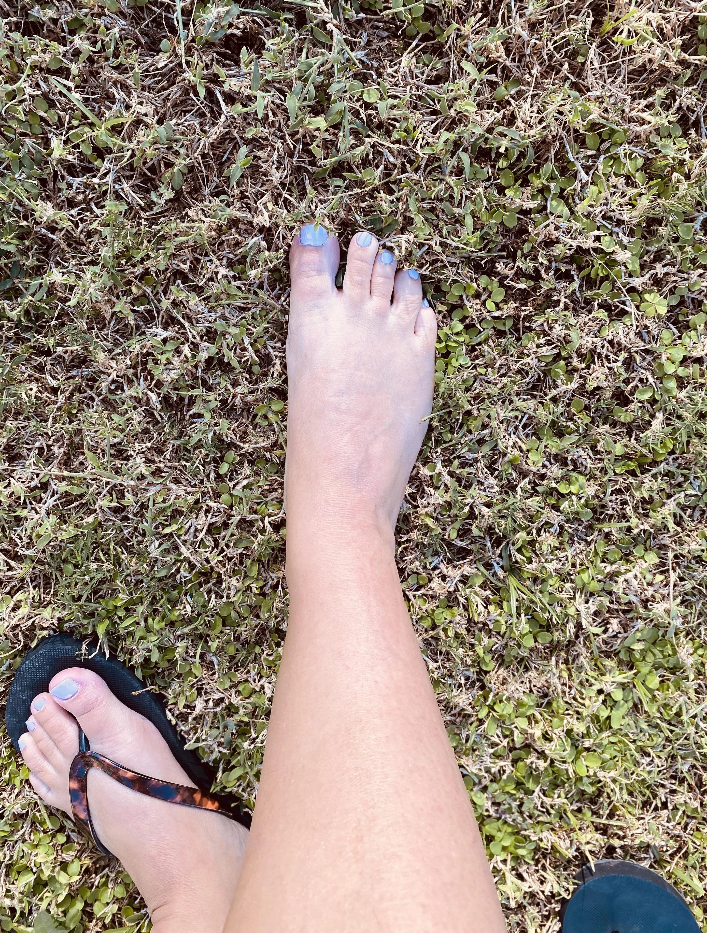 Who coming for a walk