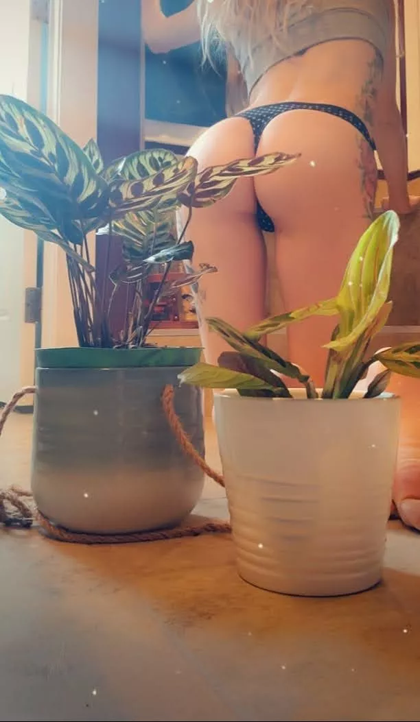 Who loves well-tended plants?