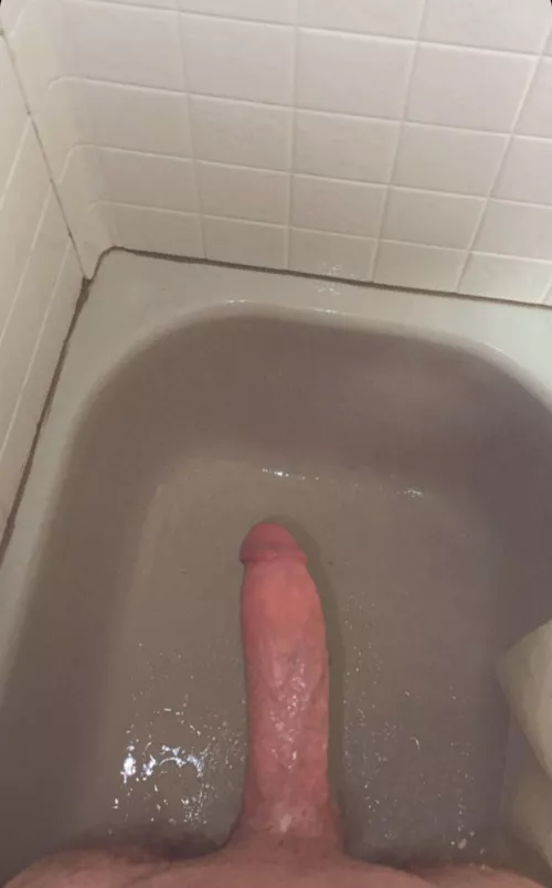 You like this cock?