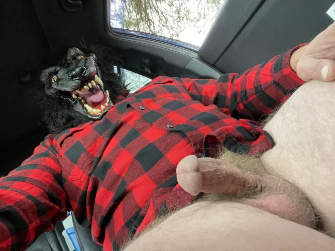 (46) waiting for someone to come tame this wolf in the park