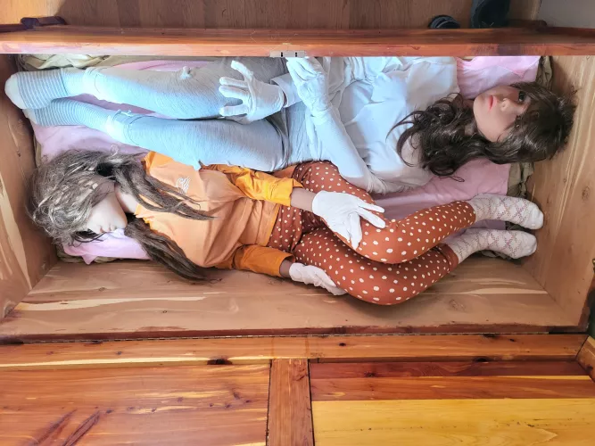 all tucked in for the day