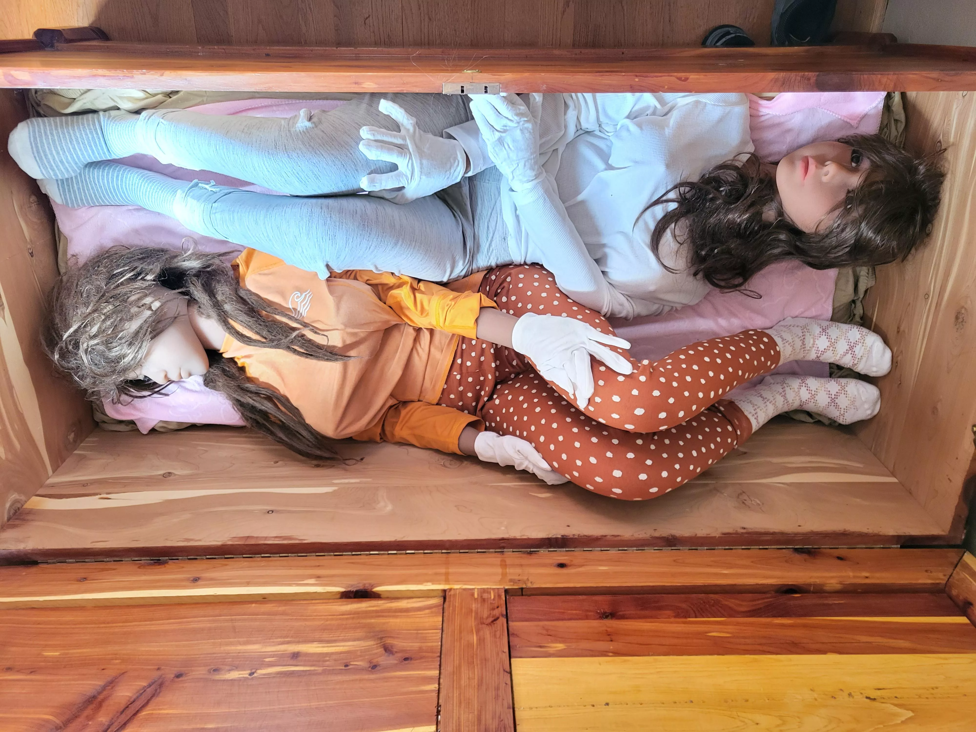 all tucked in for the day