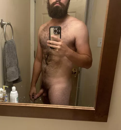 Am I an Otter or Bear?