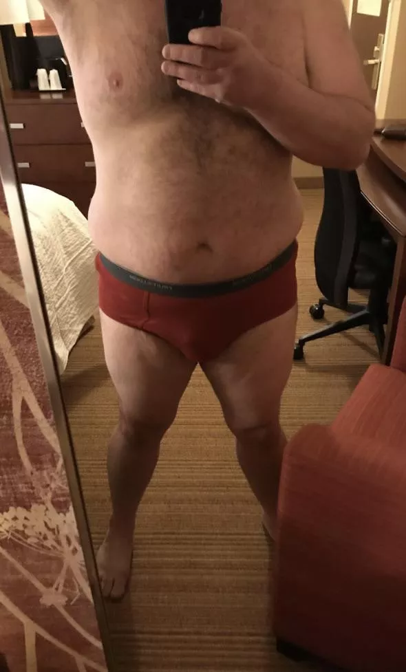 Anyone like bears in briefs?