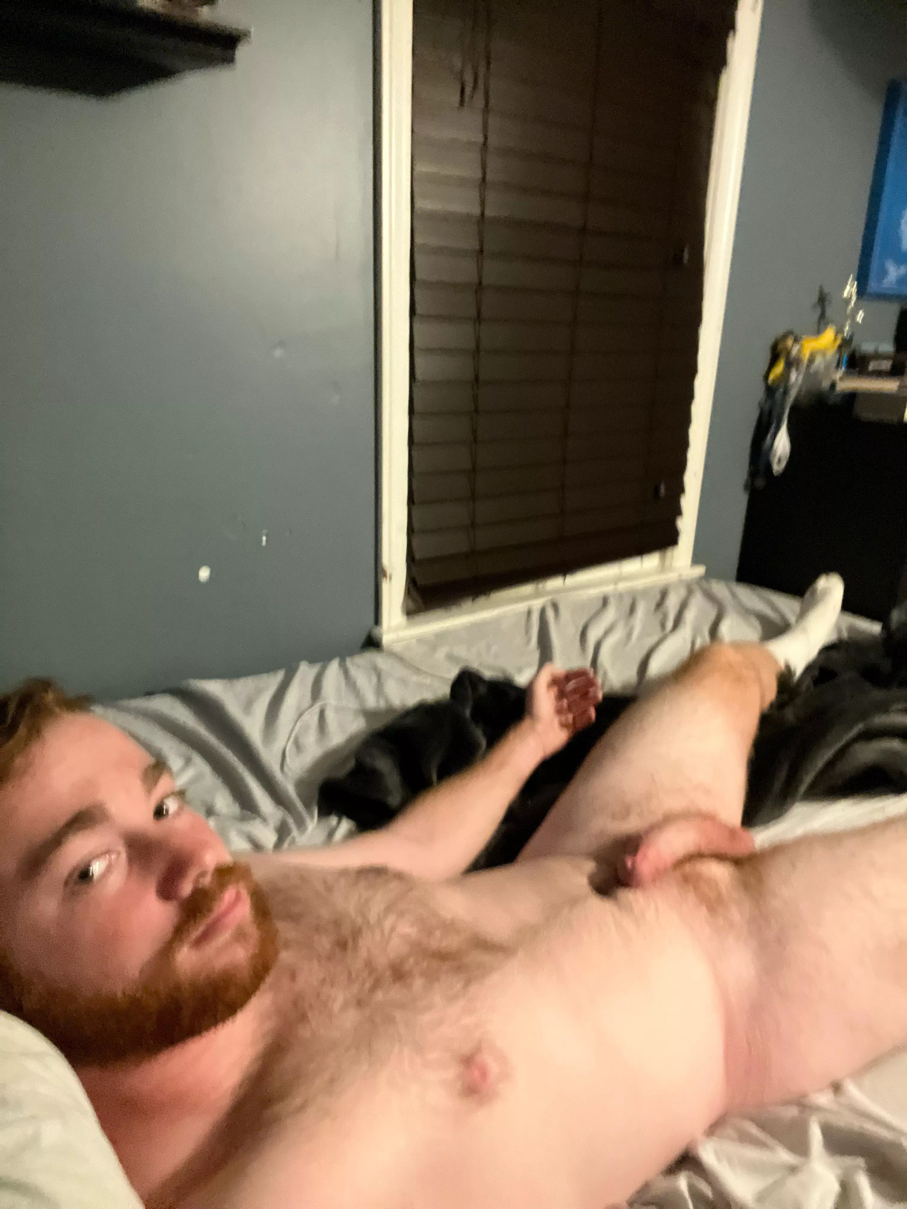Anyone need a sexy ginger ;)