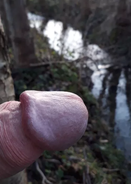 Breathing at the creek