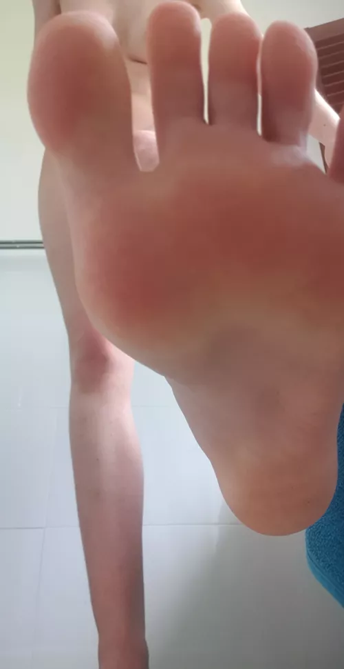 can I step on you? pretty please? 🥺