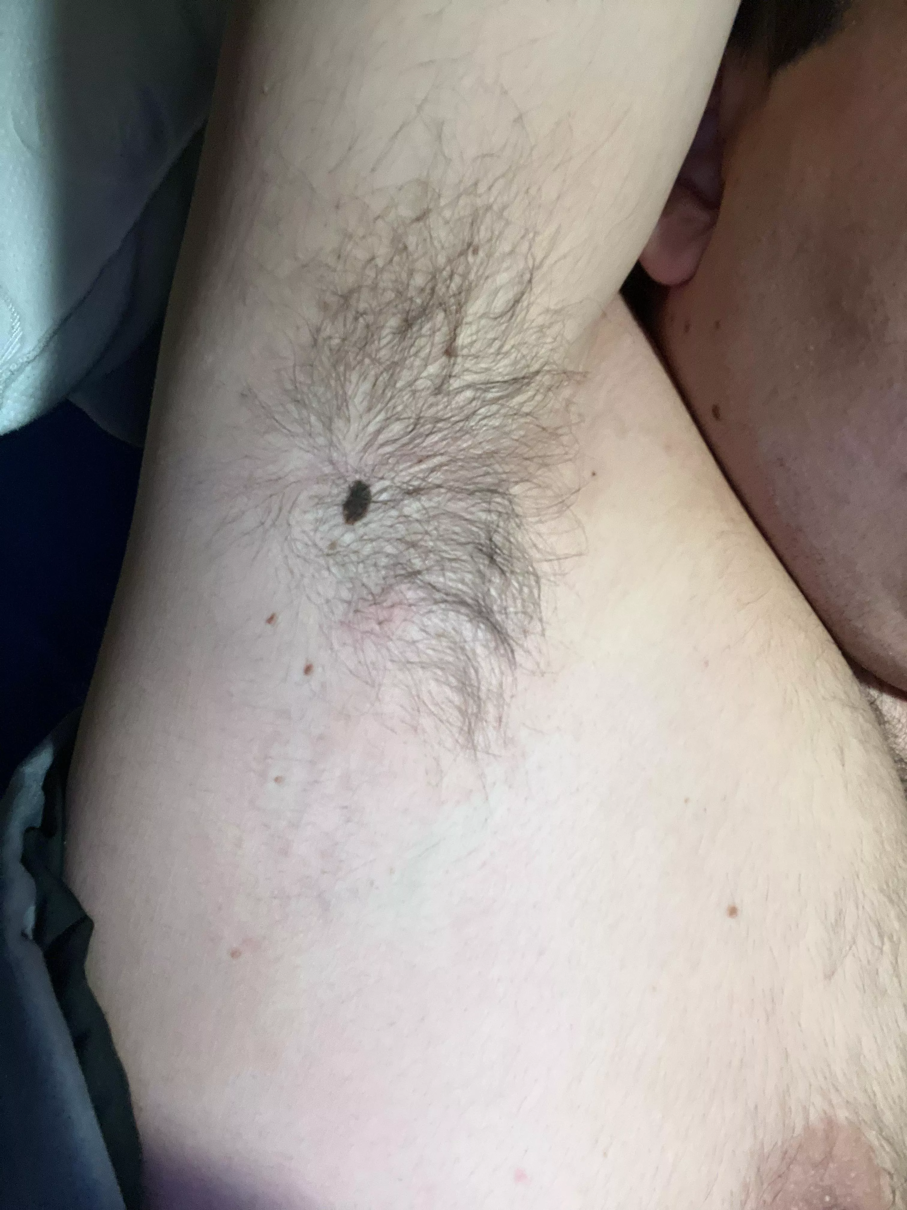 Come sniff before I put deodorant on