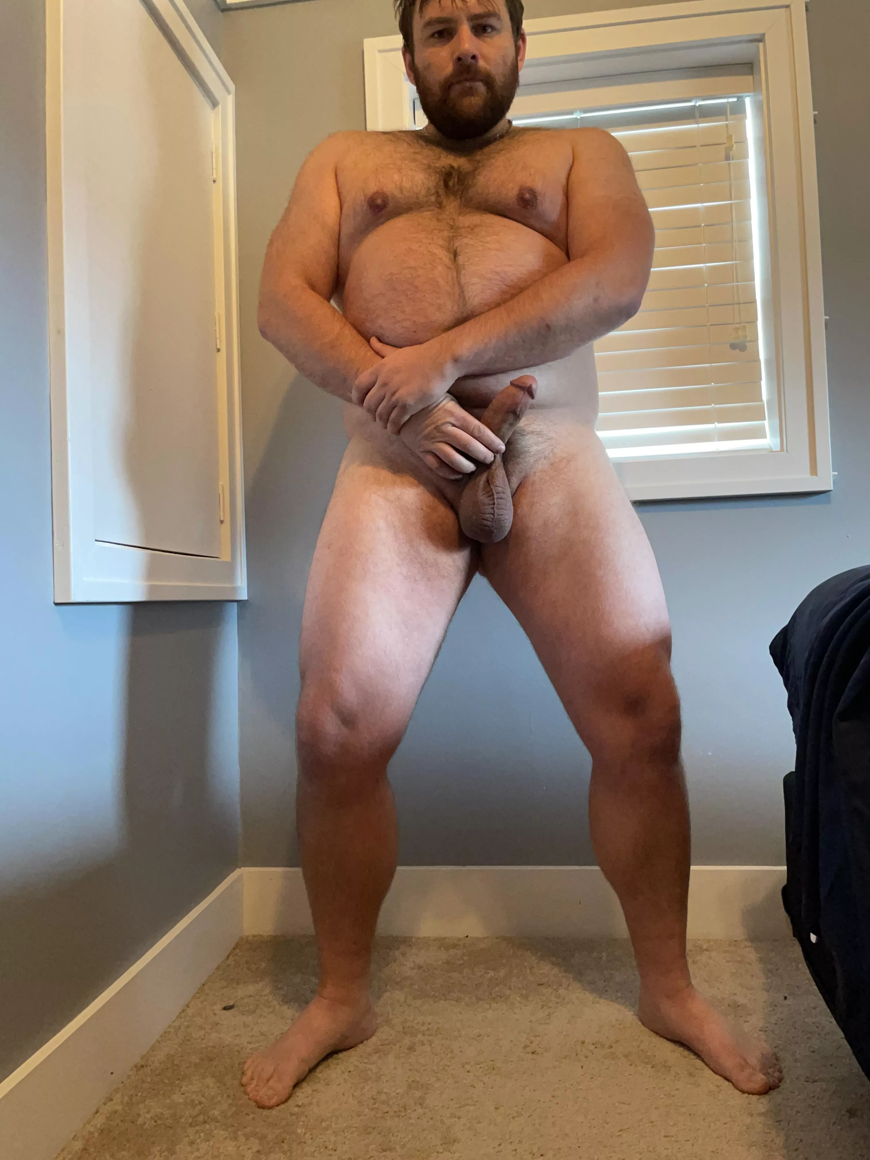 dadbod dadbeard dadboner