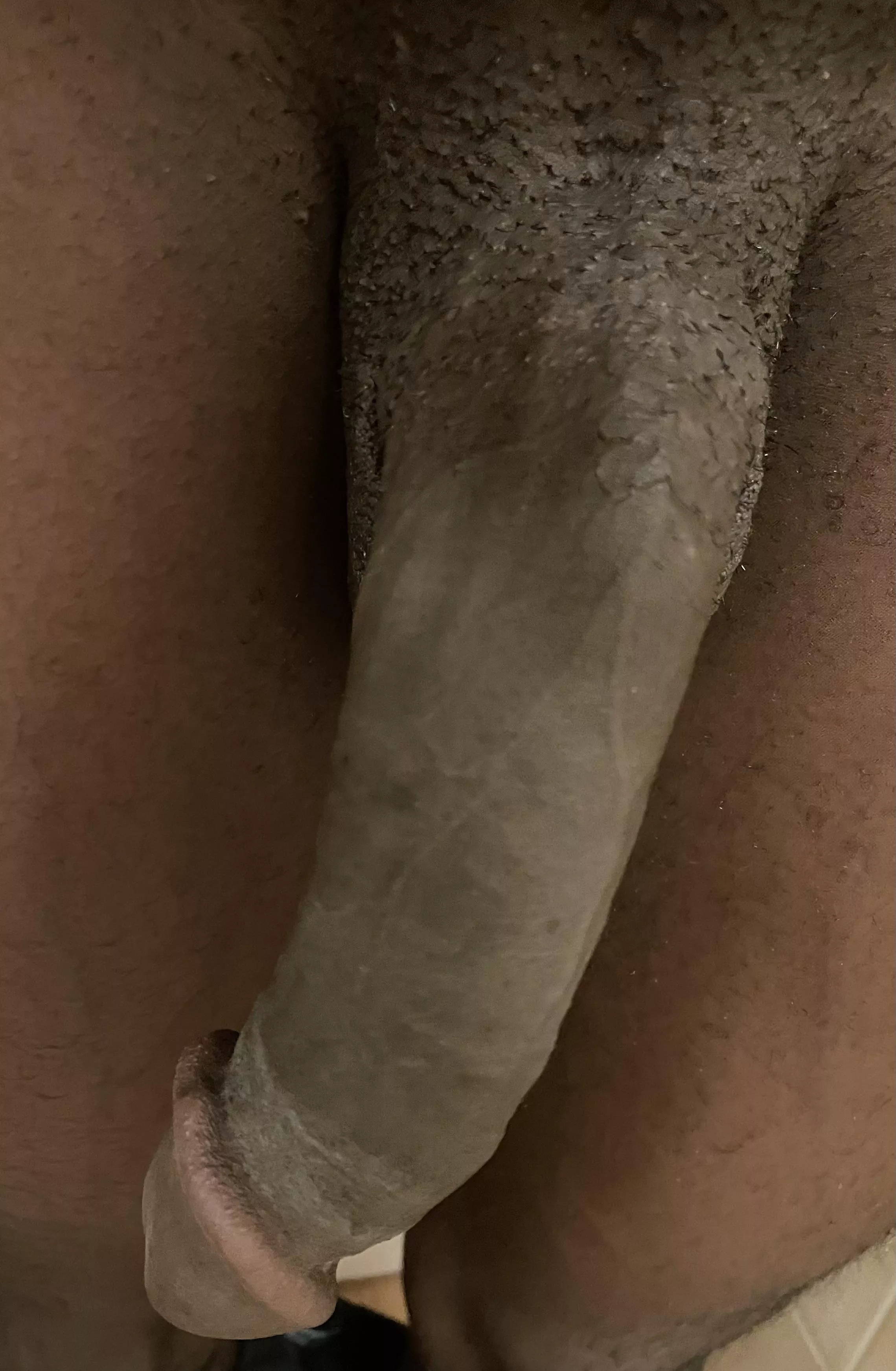 Dm me if you want this cock