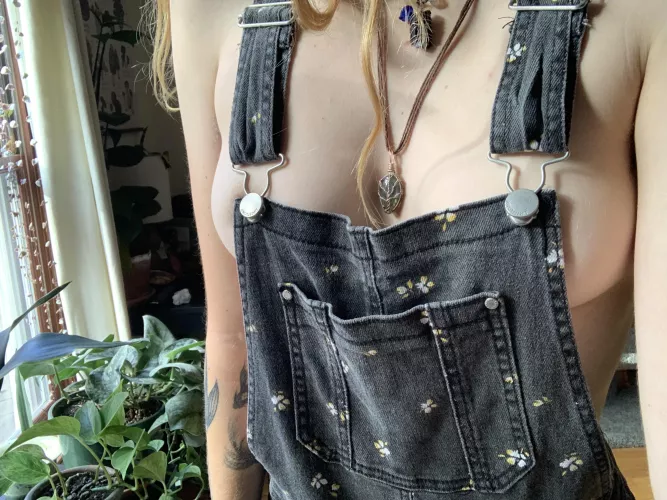 Do you like my overalls?