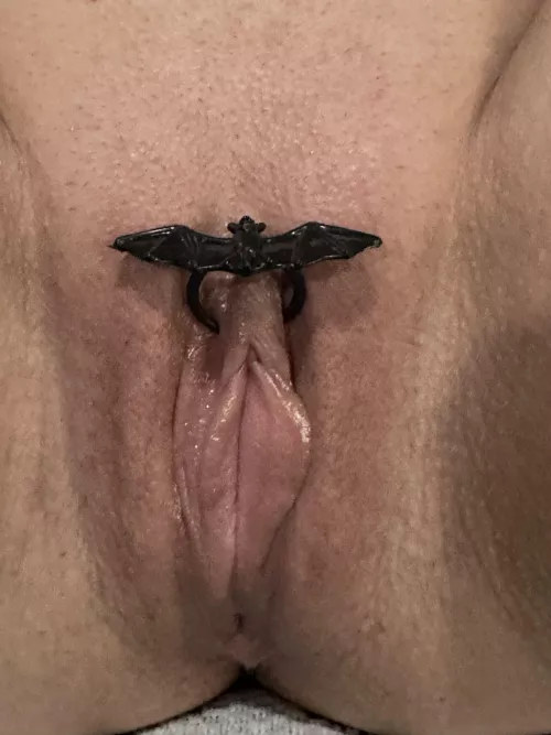 Going batty over this pussy! Happy Halloween!