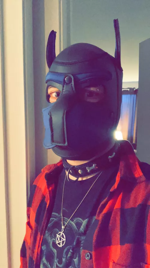 Happy Halloween and Samhain! Ruff it Be! 🐶🎃👻