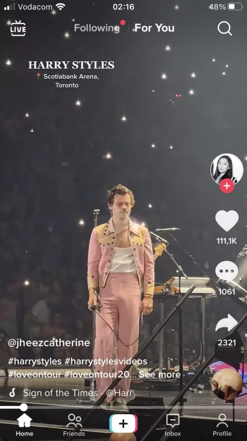 Harry Styles’ bulge