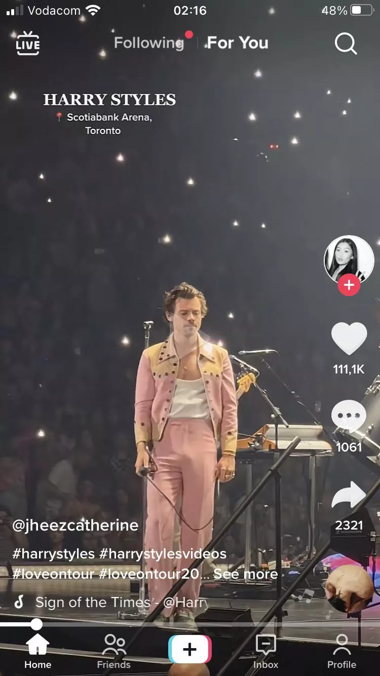 Harry Styles’ bulge