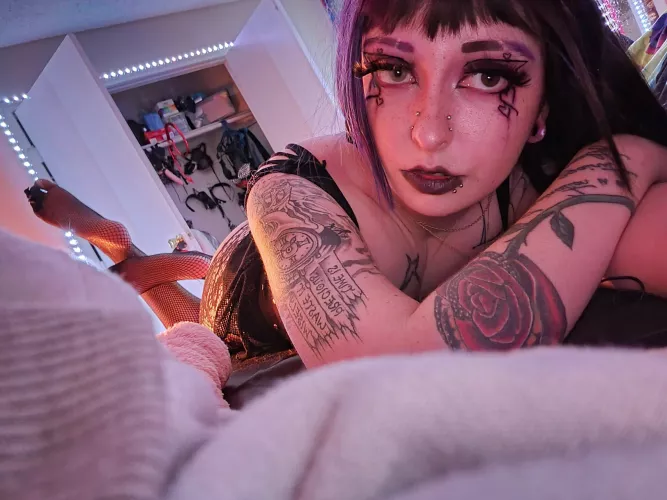 i bet you'd like my closet