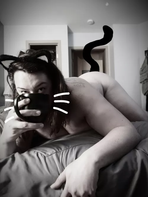 I could be purr-suaded into another cup this Halloween morning 🎃 🐱