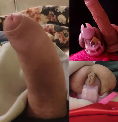 just 4 months, what is the next step?