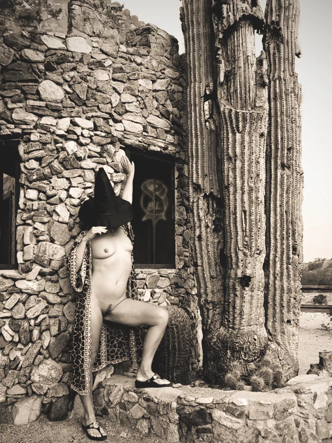 Legend tells of a Wild Witch of the West 🌵 Happy Halloween! 🎃