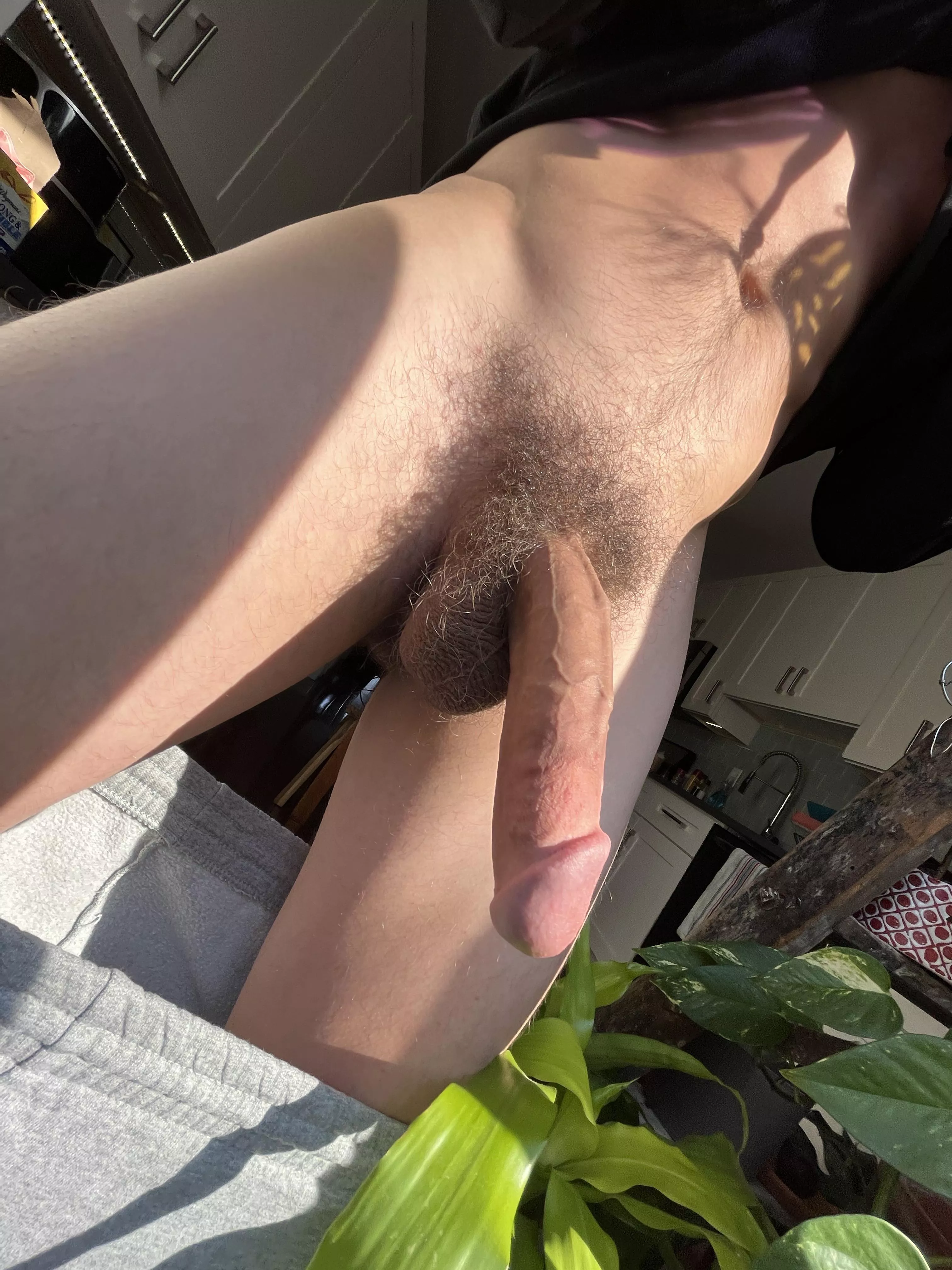 let me fuck your pretty mouth :)