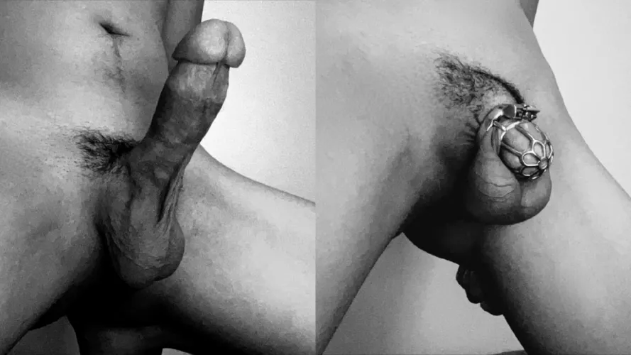 Locktober is almost over! Should my wife put me in a smaller cage? Should she make me continue No-Nut November?